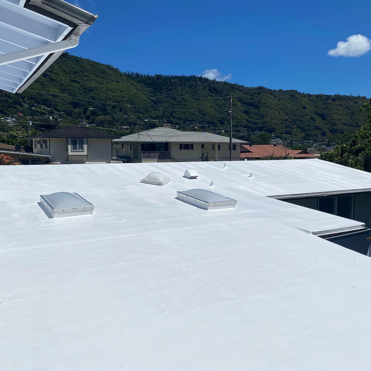 White reflective elastomeric flat roof coating with skylights